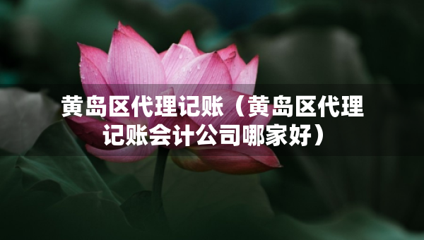 黃島區(qū)代理記賬（黃島區(qū)代理記賬會計公司哪家好）