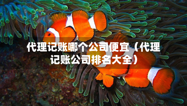 代理記賬哪個(gè)公司便宜（代理記賬公司排名大全）