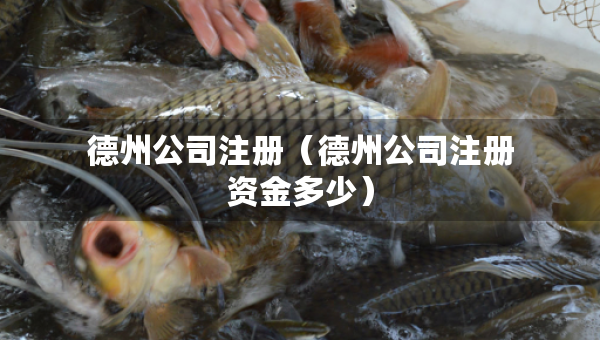 德州公司注冊（德州公司注冊資金多少）