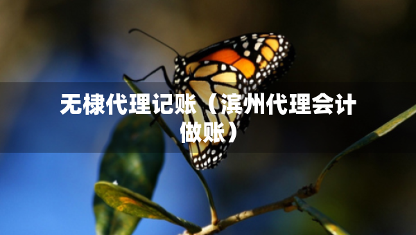 無棣代理記賬（濱州代理會(huì)計(jì)做賬）