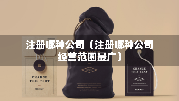 注冊(cè)哪種公司（注冊(cè)哪種公司經(jīng)營范圍最廣）