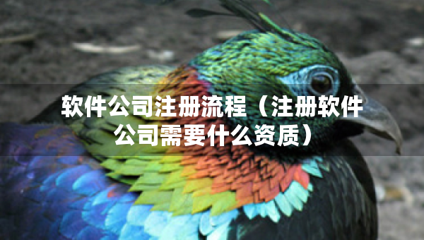 軟件公司注冊流程（注冊軟件公司需要什么資質）