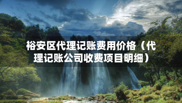 裕安區(qū)代理記賬費(fèi)用價(jià)格（代理記賬公司收費(fèi)項(xiàng)目明細(xì)）