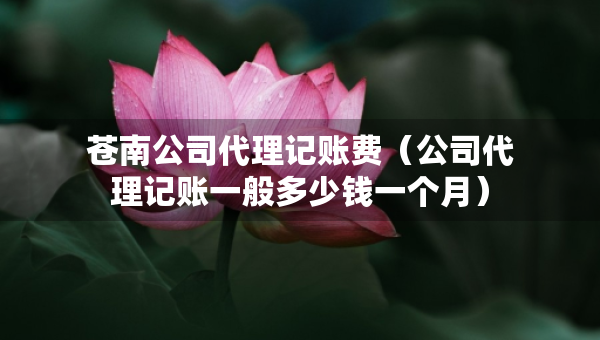 蒼南公司代理記賬費（公司代理記賬一般多少錢一個月）