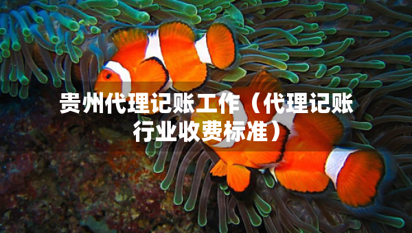 貴州代理記賬工作（代理記賬行業(yè)收費標準）