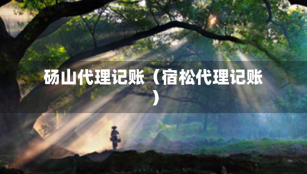 碭山代理記賬（宿松代理記賬）