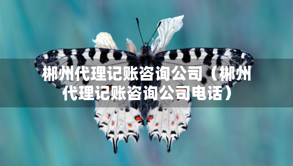 郴州代理記賬咨詢公司（郴州代理記賬咨詢公司電話）