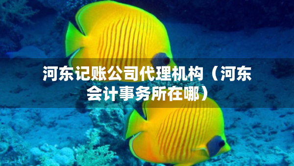 河?xùn)|記賬公司代理機(jī)構(gòu)（河?xùn)|會計事務(wù)所在哪）