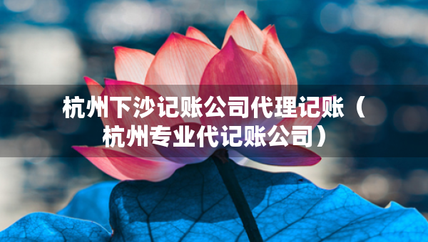 杭州下沙記賬公司代理記賬（杭州專業(yè)代記賬公司）