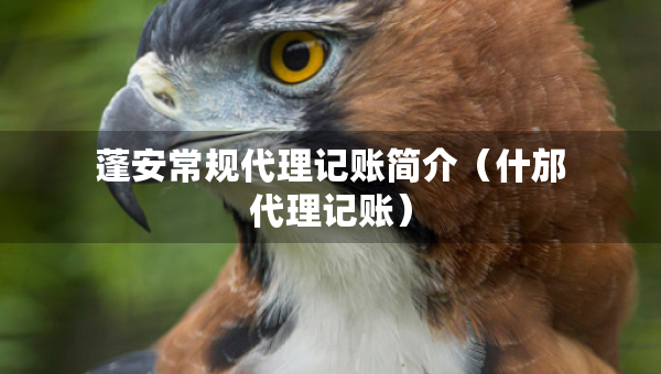 蓬安常規(guī)代理記賬簡介（什邡代理記賬）