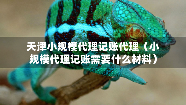 天津小規(guī)模代理記賬代理（小規(guī)模代理記賬需要什么材料）