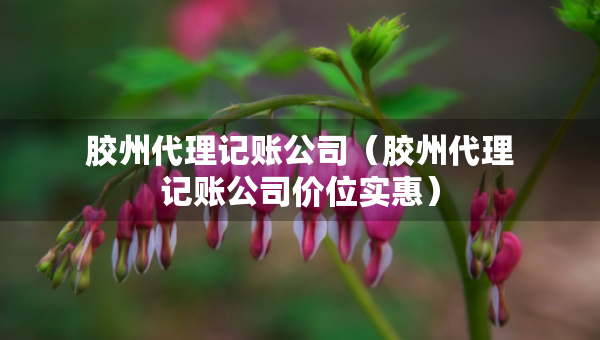 膠州代理記賬公司（膠州代理記賬公司價(jià)位實(shí)惠）