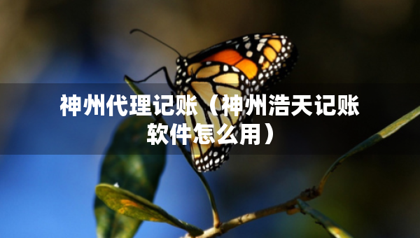 神州代理記賬（神州浩天記賬軟件怎么用）