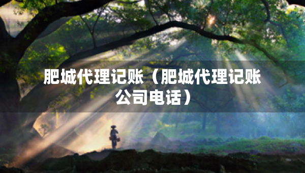 肥城代理記賬（肥城代理記賬公司電話）