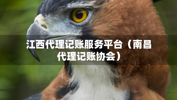 江西代理記賬服務(wù)平臺(tái)（南昌代理記賬協(xié)會(huì)）