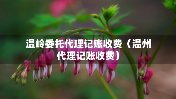 溫嶺委托代理記賬收費（溫州代理記賬收費）