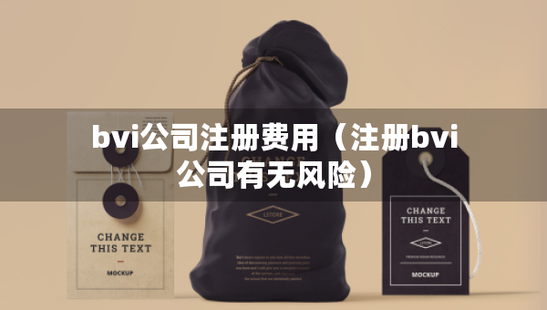 bvi公司注冊費用（注冊bvi公司有無風險）