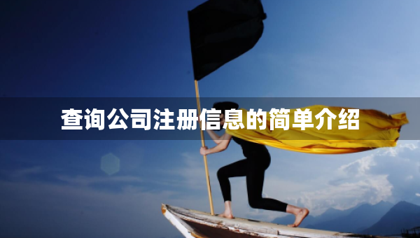 查詢公司注冊信息的簡單介紹