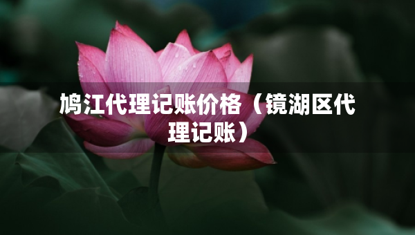 鳩江代理記賬價(jià)格（鏡湖區(qū)代理記賬）