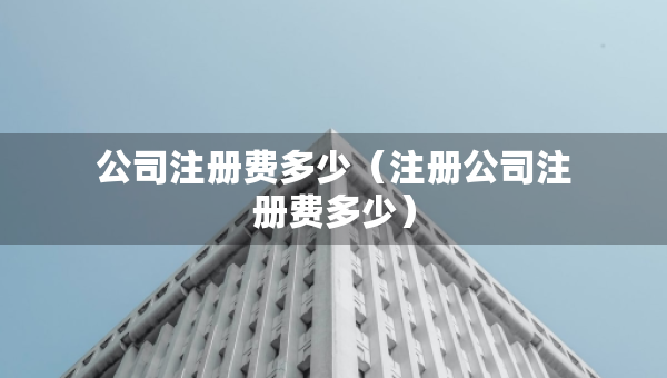 公司注冊費多少（注冊公司注冊費多少）