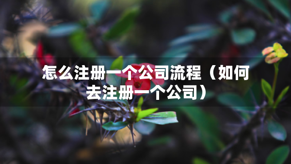 怎么注冊(cè)一個(gè)公司流程（如何去注冊(cè)一個(gè)公司）