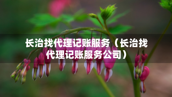 長治找代理記賬服務(wù)（長治找代理記賬服務(wù)公司）