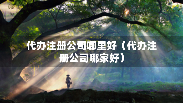 代辦注冊公司哪里好（代辦注冊公司哪家好）
