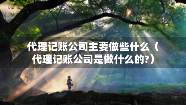 代理記賬公司主要做些什么（代理記賬公司是做什么的?）