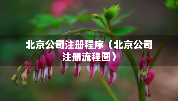 北京公司注冊程序（北京公司注冊流程圖）