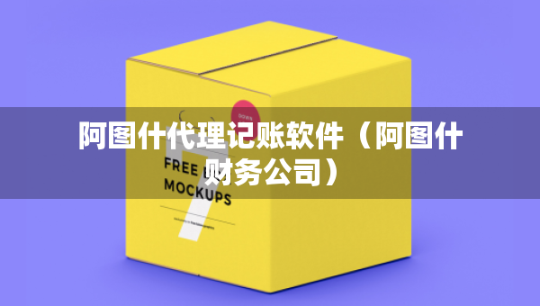 阿圖什代理記賬軟件（阿圖什財務(wù)公司）