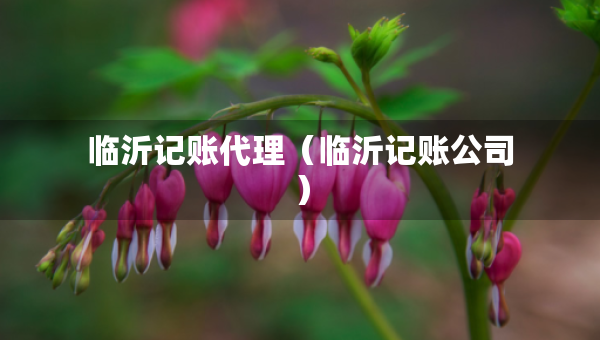 臨沂記賬代理（臨沂記賬公司）