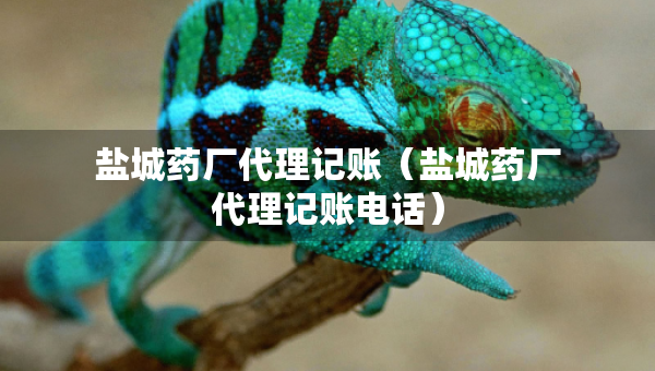 鹽城藥廠代理記賬（鹽城藥廠代理記賬電話）