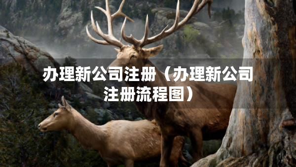 辦理新公司注冊（辦理新公司注冊流程圖）