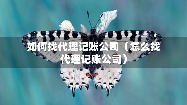 如何找代理記賬公司（怎么找代理記賬公司）