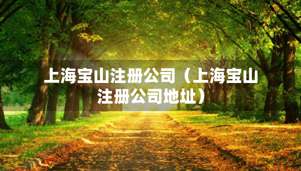 上海寶山注冊公司（上海寶山注冊公司地址）