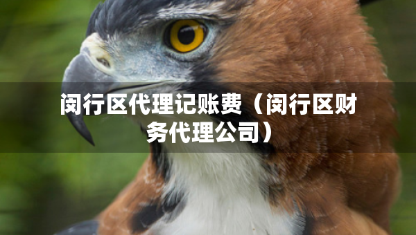 閔行區(qū)代理記賬費(fèi)（閔行區(qū)財(cái)務(wù)代理公司）