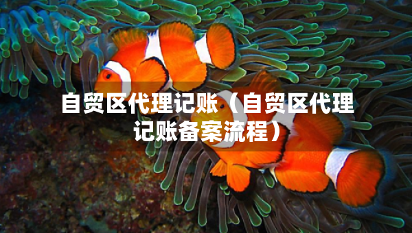 自貿(mào)區(qū)代理記賬（自貿(mào)區(qū)代理記賬備案流程）