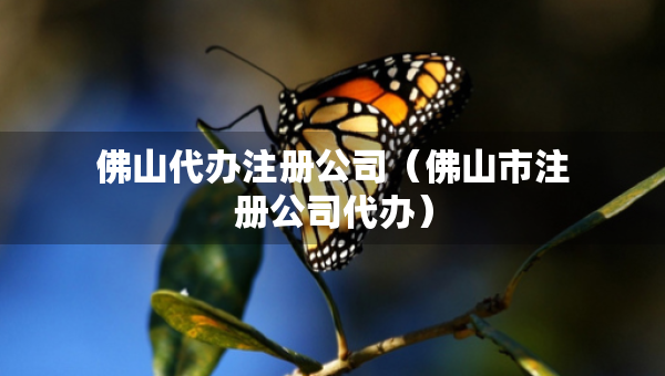 佛山代辦注冊公司（佛山市注冊公司代辦）