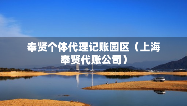 奉賢個(gè)體代理記賬園區(qū)（上海奉賢代賬公司）