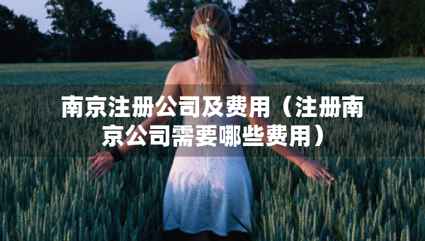 南京注冊公司及費用（注冊南京公司需要哪些費用）