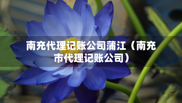 南充代理記賬公司蒲江（南充市代理記賬公司）