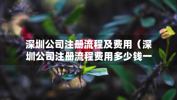 深圳公司注冊流程及費用（深圳公司注冊流程費用多少錢一個月 就選三合一財稅）