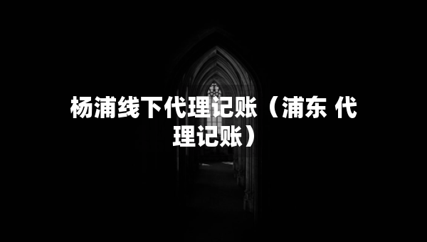 楊浦線下代理記賬（浦東 代理記賬）