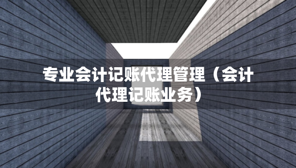 專(zhuān)業(yè)會(huì)計(jì)記賬代理管理（會(huì)計(jì)代理記賬業(yè)務(wù)）