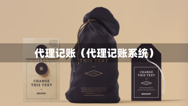 代理記賬（代理記賬系統(tǒng)）