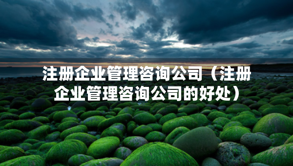 注冊企業(yè)管理咨詢公司（注冊企業(yè)管理咨詢公司的好處）