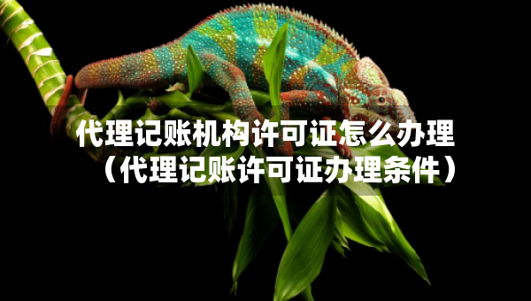 代理記賬機構(gòu)許可證怎么辦理（代理記賬許可證辦理條件）