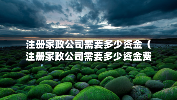 注冊(cè)家政公司需要多少資金（注冊(cè)家政公司需要多少資金費(fèi)用）