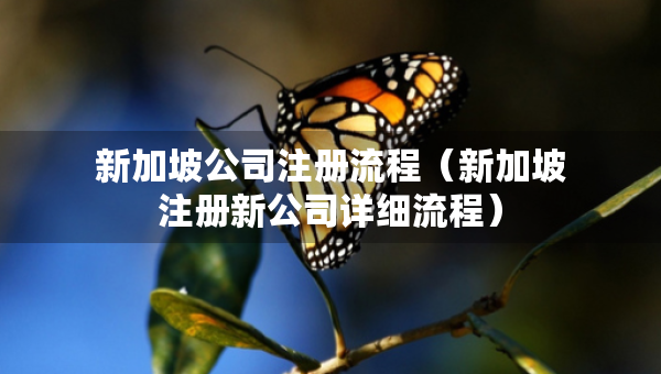 新加坡公司注冊(cè)流程（新加坡注冊(cè)新公司詳細(xì)流程）