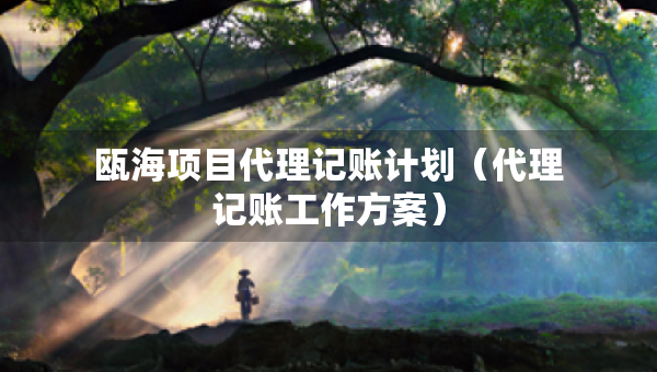 甌海項目代理記賬計劃（代理記賬工作方案）
